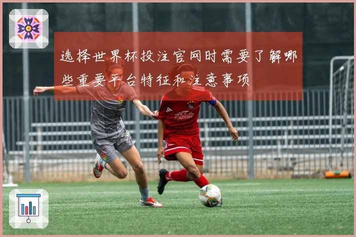 选择世界杯投注官网时需要了解哪些重要平台特征和注意事项