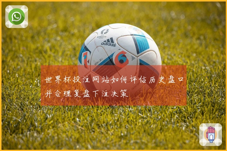 世界杯投注网站如何评估历史盘口并合理复盘下注决策