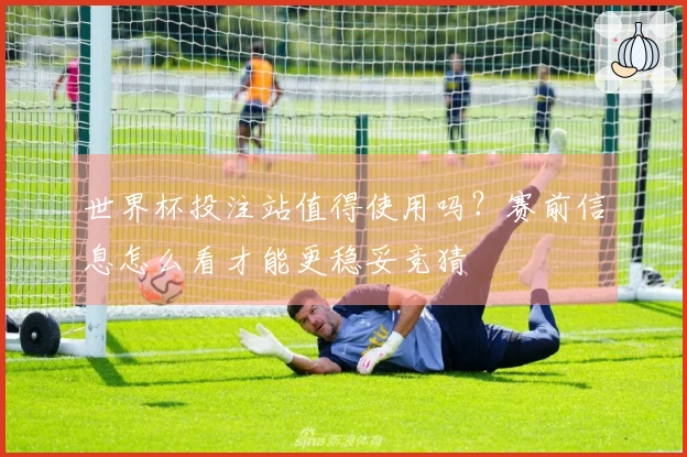 世界杯投注站值得使用吗？赛前信息怎么看才能更稳妥竞猜