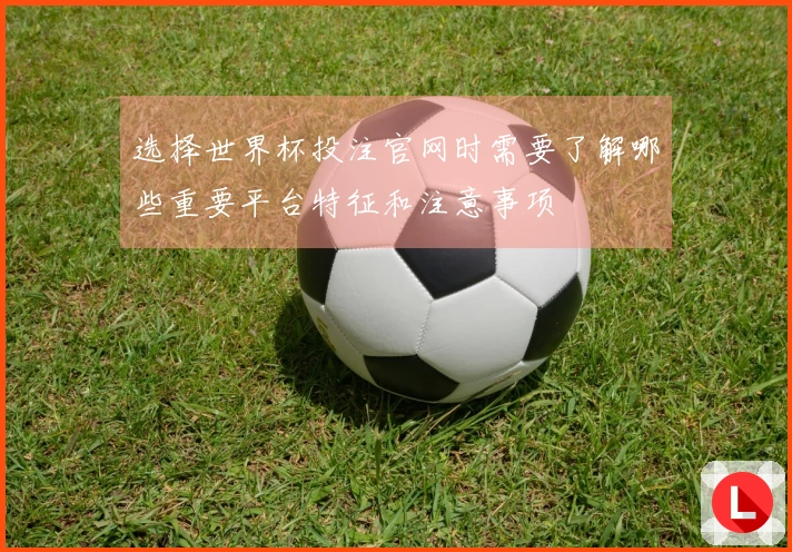 选择世界杯投注官网时需要了解哪些重要平台特征和注意事项