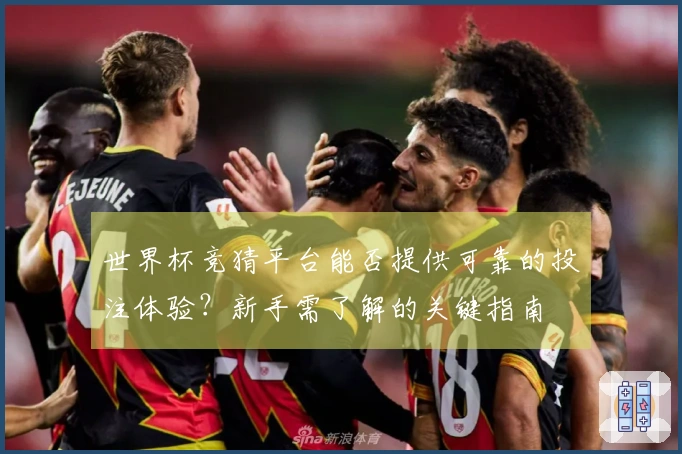 世界杯竞猜平台能否提供可靠的投注体验？新手需了解的关键指南